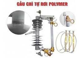 CÔNG TY TNHH TÍN PHONG 5