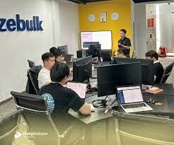 Designveloper (DSV) 4