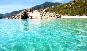 BIGGREEN VIỆT NAM 7