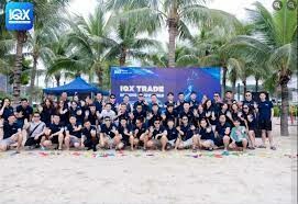 DỊCH VỤ-TƯ VẤN IQX 6