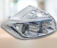 TEX YEAR VIỆT NAM 1