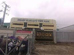 Công ty quốc tế Smart Elegant 5