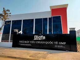 Công Ty Bigfa 3
