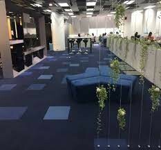 THẢM VÀ NỘI THẤT KNT 2