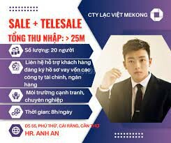 DỊCH VỤ TƯ VẤN LẠC VIỆT MEKONG 9