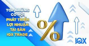 DỊCH VỤ-TƯ VẤN IQX 1