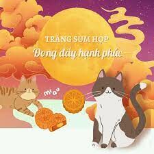 Công Ty Băng Thành 7