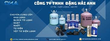 Điện Lạnh Đặng Hải Anh 10