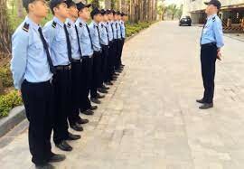 Bảo vệ Sao Vàng 9