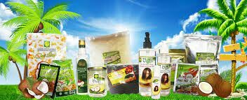 Dừa định phú mỹ 8