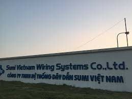 Sumi Việt Nam 4