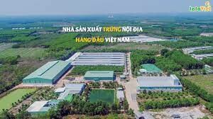 CHĂN NUÔI TAFA VIỆT 6