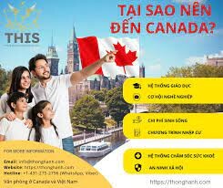 THÔNG HÀNH IMMIGRATION SERVICES (THIS) 3