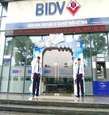 Bảo vệ Sao Vàng 4