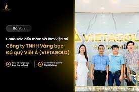 Vàng Bạc Đá Quý HanaGold 8