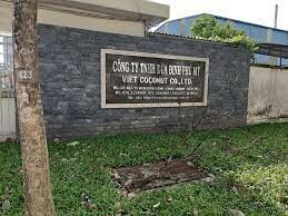 Dừa định phú mỹ 7