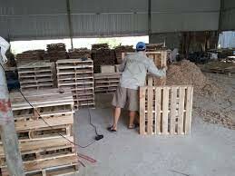 Lâm sản Thăng Long 5