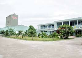 Thủy Sản Miền Trung - SEADANANG 8