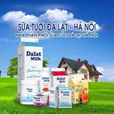 Công Ty Sữa Đà Lạt 9