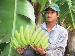 Nông Nghiệp U&I 2