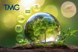 Thien Minh Group - TMG Group 16