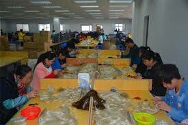 Pearlcoin Việt Nam 14