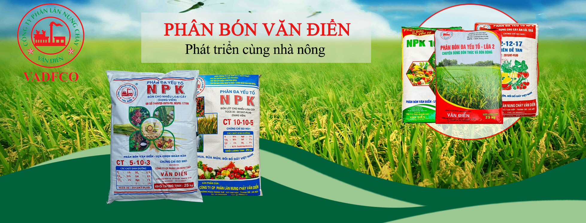 Phân lân Văn Điển 10