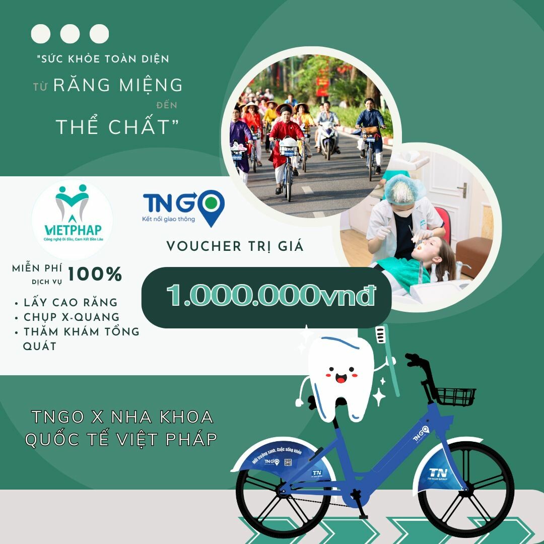 Vận Tải Số Trí Nam - TNGo 3