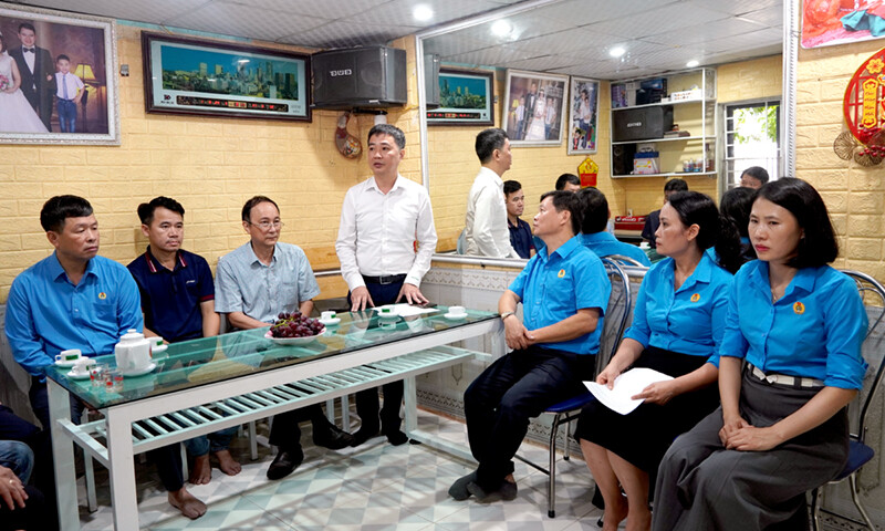 Phân lân Văn Điển 8