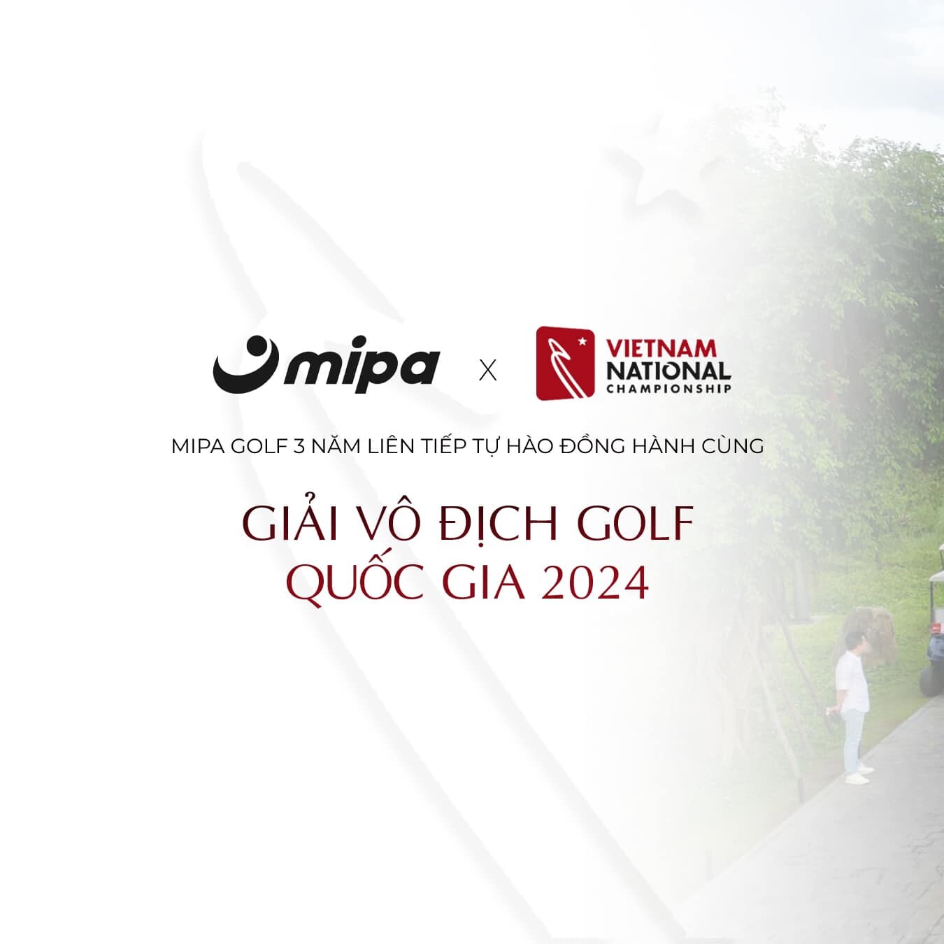 A&M ASIA - Thương hiệu Mipa 3