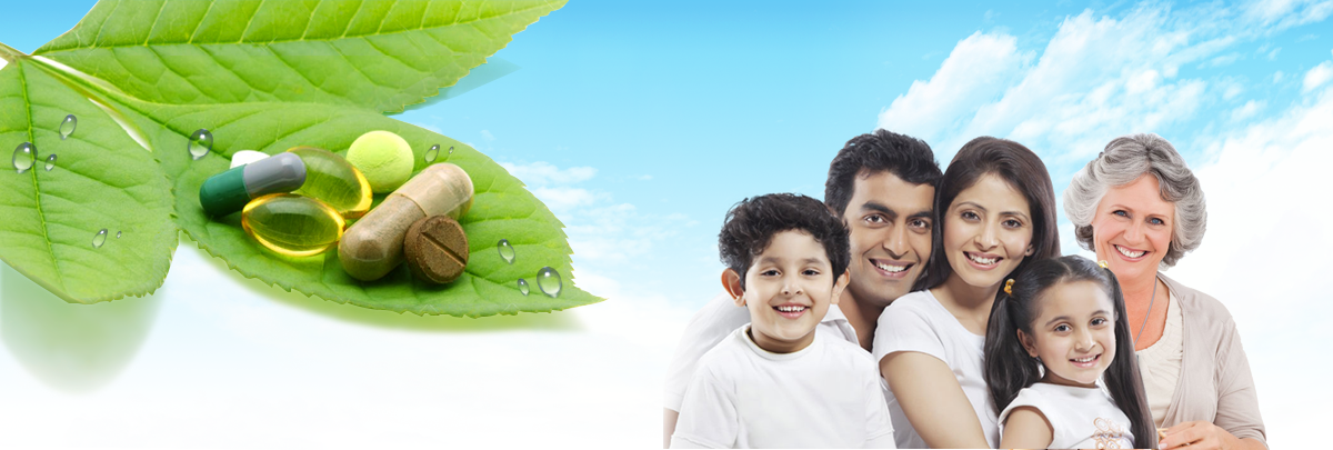 Dược phẩm Hiệp Bách Niên 3