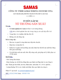 Samas Wiring Systems Vina 1