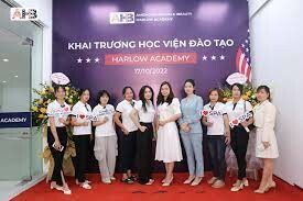 Học Viện Harlow 6