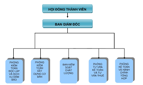 Công Ty TNHH Kiểm Toán Và Thẩm Định Giá Việt Nam 10