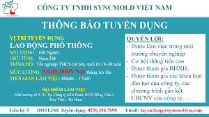Công Ty TNHH Syncmold Việt Nam 3