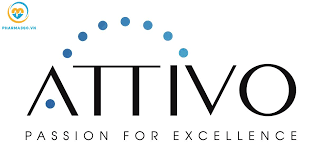 Attivo International Co., Ltd. 6