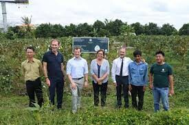 Vườn Trái Cửu Long 7