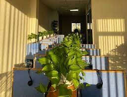 VIỄN THÔNG THÀNH NHÂN 4