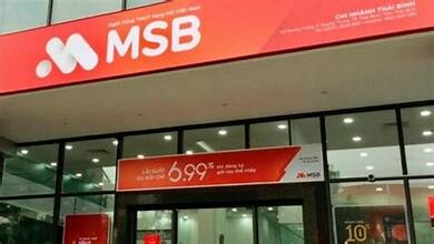 MSB 9