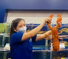 LOBSTER TECHNOLOGIES 1