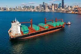 Scan-Shipping Việt Nam 8