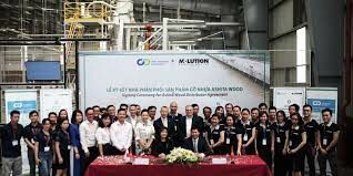 Toda Vietnam Company Limited 3