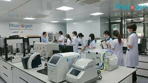 Y dược Phacogen 2