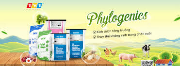 Công ty TNHH Việt Thái Organic 7