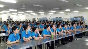 Công Ty TNHH King Point Việt Nam 4