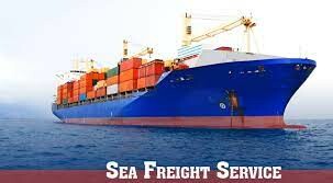 Vận tải Quốc Tế Phương Nam 9