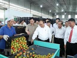 Đầu Tư Và Sản Xuất Nông Sản Trình Nhi 10