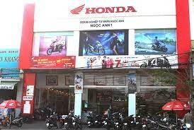 Ngọc Anh Lâm Đồng 9