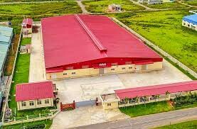 Đầu Tư Và Sản Xuất Nông Sản Trình Nhi 8