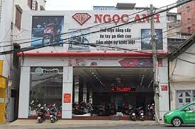Ngọc Anh Lâm Đồng 8